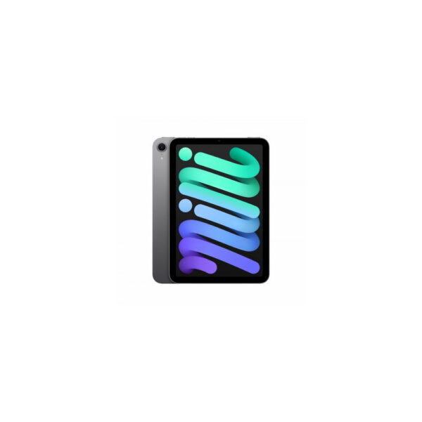 iPad mini Wi-Fi 256GB - Grigio Siderale